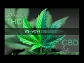 Medication Remix - Wiz Khalifa, Ty Dolla Sign, Damian Marley & Stephen Marley [Audio]