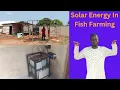 Using Solar Energy in Fish Farming as a Renewable Source of Power