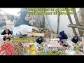 Download Lagu ORANG LIAT INI GK BERHARGA,TP KAMI YG MELELES SANGAT BERHARGA⁉️HR INI DPT 3KG CABE\u00261/2KG BAWANG