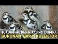 Lagu CUMA DISINI GUDANGNYA BURUNG ANTIK UNIK DAN LANGKA BURONAN PARA KOLEKTOR DI PASAR BURUNG PRAMUKA