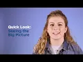 Quick Look Seeing the Big Picture