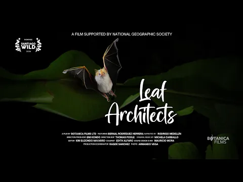 Leaf Architects - Trailer