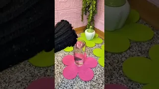 لمي مع خل تفاح قال بروح لكرش بلشت اليوم اول يوم فيها دندنها