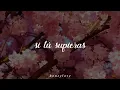 Alejandro Fernández - Si Tú Supieras // Letra