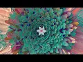 Lexer - This World feat. IDER