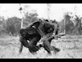 Lagu The Eve Of Destruction (Vietnam Footage)