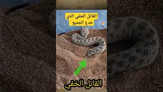 القاتل الخفي الأفعى الأكثر سمية في عالم الثعابين Shorts 