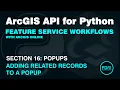 Adding Related Records Information to Popups in ArcGIS Online using the ArcGIS API for Python