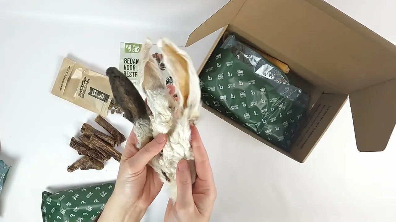 Bellobox Medium