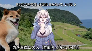 メスガキわからせ替え歌 毎日ヘコルビヨリ 