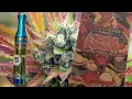 Buddah Bear - Lychee Dragon