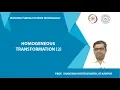 Homogeneous Transformation 2