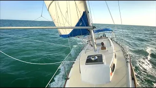 Projects: Solar system,  whisker pole, doors…