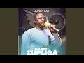 Download Lagu Naam Zupliga