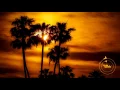 Polo & Pan - Zoom Zoom (Space Jungle Edit)