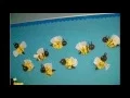 Wonderful Spring bulletin board decorations