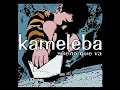 Intuicion - Kameleba