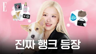 로제가 가져온 애장템 속에 행크가…?!🐾 로제의 마음을 지켜준 아이템과 셀피 카메라 공개 #로제 #블랙핑크 #네이름택