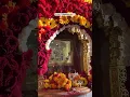 Lagu Meldi Ma New Status | Mandvi Ni Meldi Maa #shorts #trending #trendingshorts #meldimaastatus
