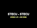 Download Lagu LIRIK LAGU • STECU - STECU • SPEED UP + REVERB || VIRAL TIKTOK 2025 🎧
