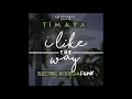 Timaya - I Like The Way (Electric Bodega Remix)