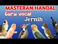 Download Lagu MASTERAN MURAI BATU FULL ISIAN TEMBAKAN MEWAH MUDAH DITIRU MURAI APAPUN ISIAN JERNIH SUARA KASAR