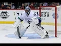 The Career of Roberto Luongo