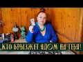 Download Lagu A POISONOUS SNAKE SPRAYS POISON AT YOU! Who is ruining your life? ⭐ Tarot layout