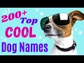 Top 200 COOL Dog Names - Awesome Dog Name Ideas