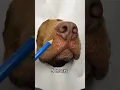 Como dibujar a un perrito realista