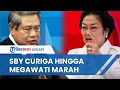 Download Lagu Reaksi 2 Presiden RI soal Putusan Pemilu 2024 Ditunda, SBY Sebut Ada yang Aneh hingga Megawati Marah