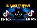 DJ LAGI TAMVAM X TIKTOK VIRAL MUSHUP (SLOWED BASS ANALOG) 2024 REMIX