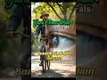 Download Lagu Oemar Bakri  -Iwan Fals- #iwanfals #oemarbakri #music  @youtubeindonesia @musikindonesiaid