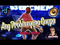 Ang Probinsyana Guapa Budots REmix | Dj Ericnem
