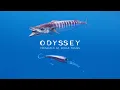 The Best Wahoo Fishing in the WORLD - Odyssey series Episode 5