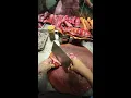 Char Siu - Live Streaming 2026-08-21 09 10 15