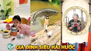 Tổng Hợp Video Hài Hước Nhất: Bố Hậu Đậu Và Dàn Mèo Cưng Siêu Quậy 🤣🐱