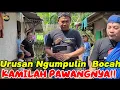 Download Lagu Jajaninnya Nggak Seberapa Tapi Senangnya Kemana-mana || Borong Cimol Satu Kampung!!! 