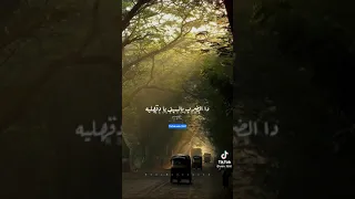 مجدي الشعار     دندنها