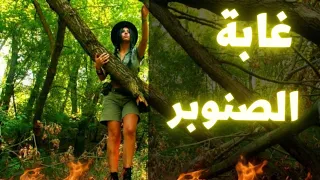 سيزرية غابة الصنوبر قنبلة جذب الحبيب و أقوى ما ستجربه في حياتك 