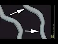 ziSpread new cable feature