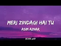 Lagu Meri Jindagi Hai Tu - Asim Azhar -  Lyrics (Ost)