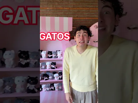 FIESTA DE GATOS 🐱
