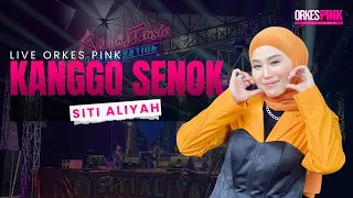 kanggo senok siti aliyah aliyah music colaboration live tukdana indramayu 22 des 2025
