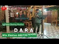 DARA - HARVEY MALAIHOLO || Elekton Madiun