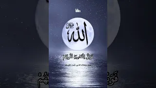 ذكر الله حياة للقلوب والأرواح الشيخ أحمد النفيس 