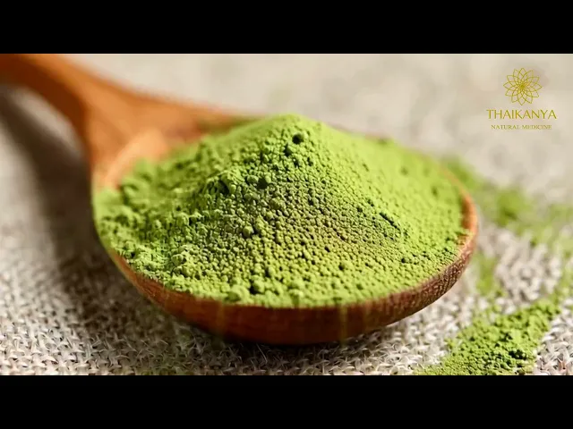 ウルフィアパウダー栽培｜THAIKANYA