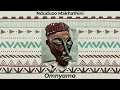 Nduduzo Makhathini - Omnyama (Visualizer)