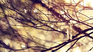 آية الكرسي مكررة ساعة كاملة بصوت مريح وجميل 