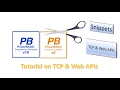 PowerBasic Snippets - Tutorial on querying Web APIs